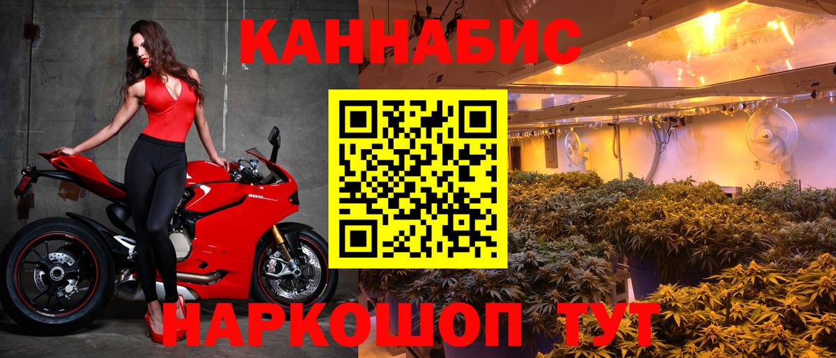 Марихуана индика Сыктывкар